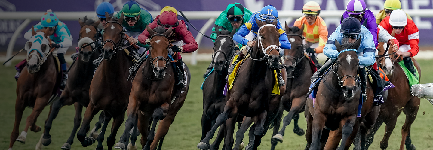 2024 BREEDERS' CUP まとめセット maxresdefault.jpg