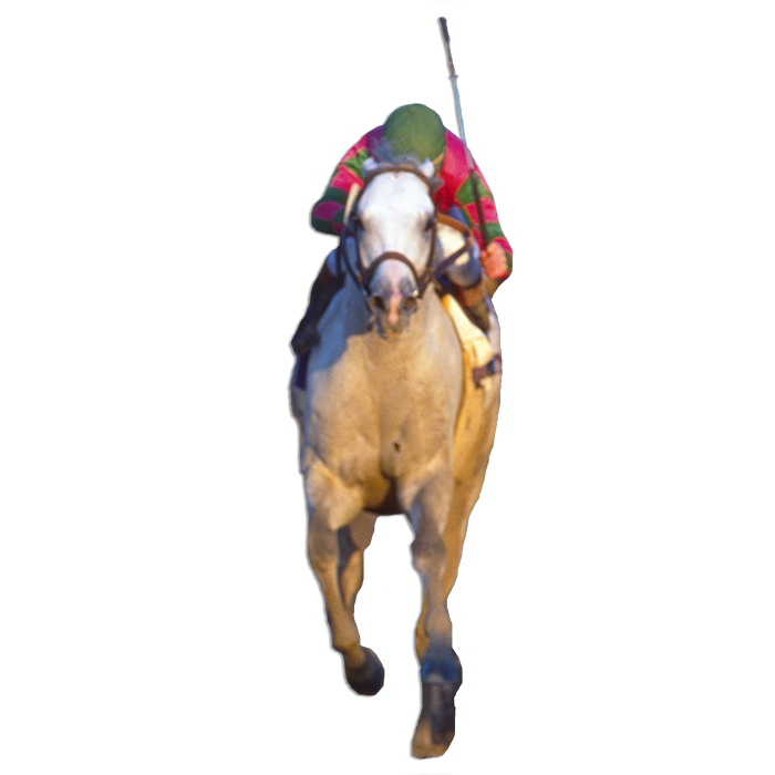 놀리다! / 할리데이비슨 알파벳 수프