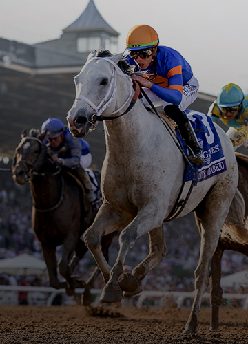 2024 Breeders' Cup Classic Picks and Predictions