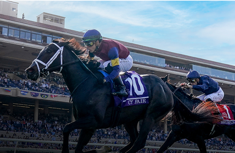 2025 Juvenile Turf Sprint