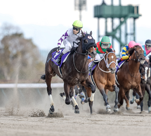Peptide Nile wins February Stakes, Gains Berth into 2024 BC Classic