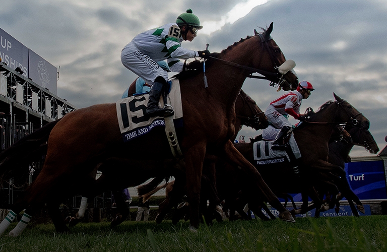 Breeders cup betting challenge 2022 results of tecfidera ucmj aiding and abetting the enemy