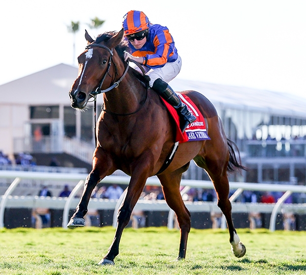 Breeders' Cup World Championships 2024
