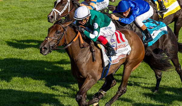 Breeders' Cup | Oct. 31 & Nov. 1 2025