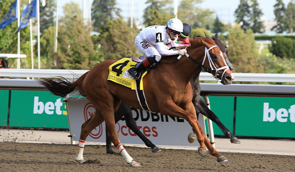 2024 BREEDERS' CUP まとめセット Breeders' Cup | Oct. 31 & Nov. 1 2025