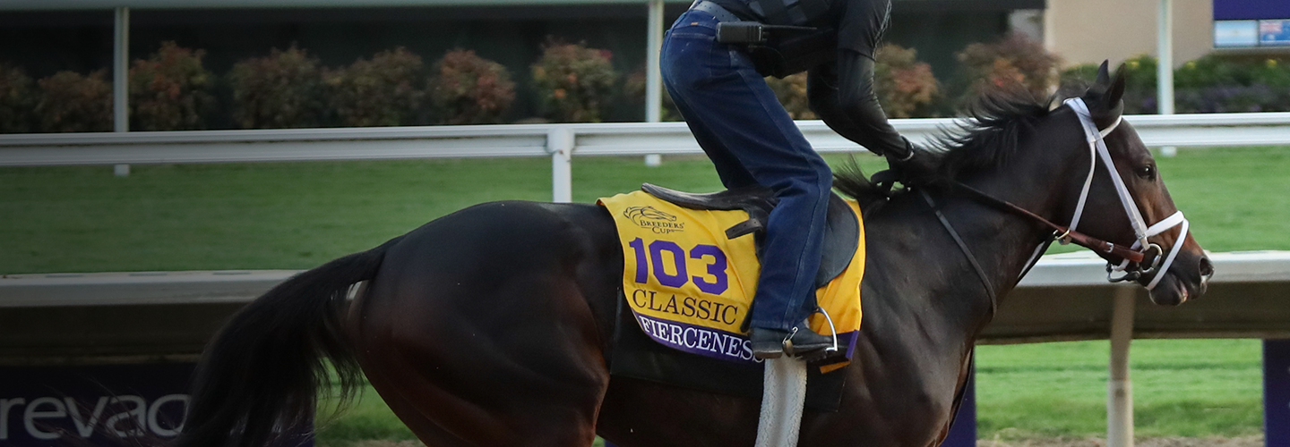 2024 Breeders' Cup Classic at a Glance