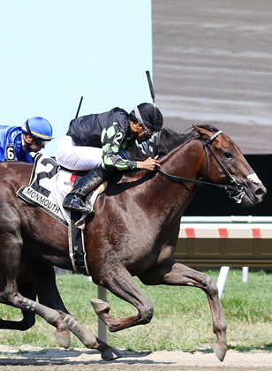 2024 BREEDERS' CUP まとめセット 2024 BREEDERS' CUP まとめセット Breeders' Cup 2024: Turf