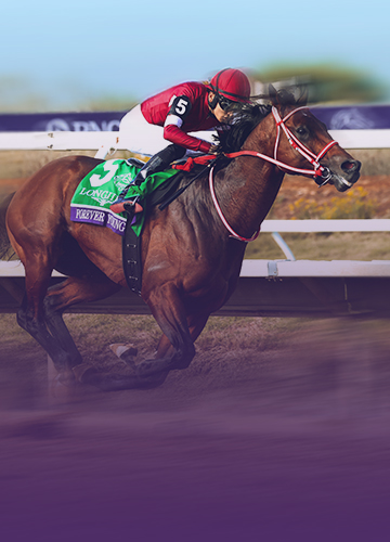 Breeders' Cup | Oct. 30-31, 2026