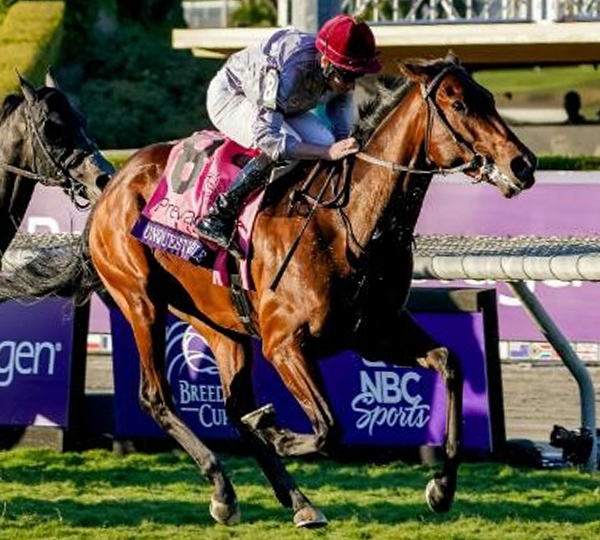 2024 BREEDERS' CUP まとめセット maxresdefault.jpg