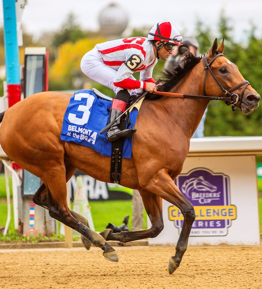 Randomized On the Improve for Breeders’ Cup Distaff