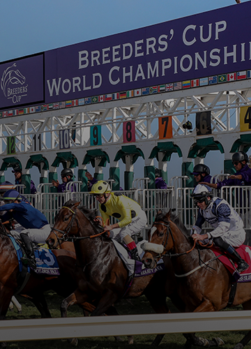 25 Days to Go Until the 41st Running of the Breeders' Cup World