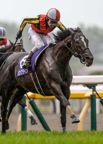 Songline Soars in Victoria Mile