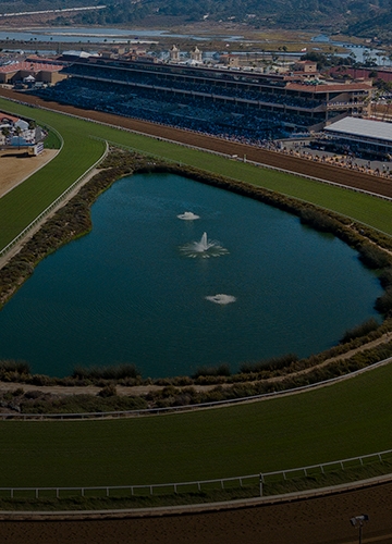 2024 BREEDERS' CUP まとめセット sddefault.jpg?v=6723d187