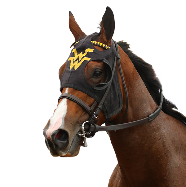 ラヴズオンリーユーBREEDERS' CUP 2021 ジャンパー Breeders' Cup Official Fall Lookbook by upperrm - Issuu