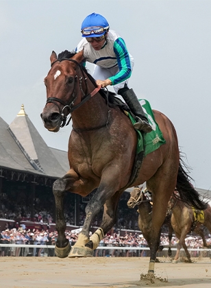 2024 BREEDERS' CUP まとめセット 2024 BREEDERS' CUP まとめセット