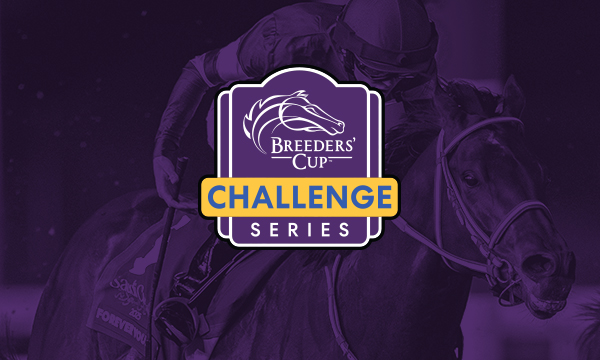 25 Days to Go Until the 41st Running of the Breeders' Cup World