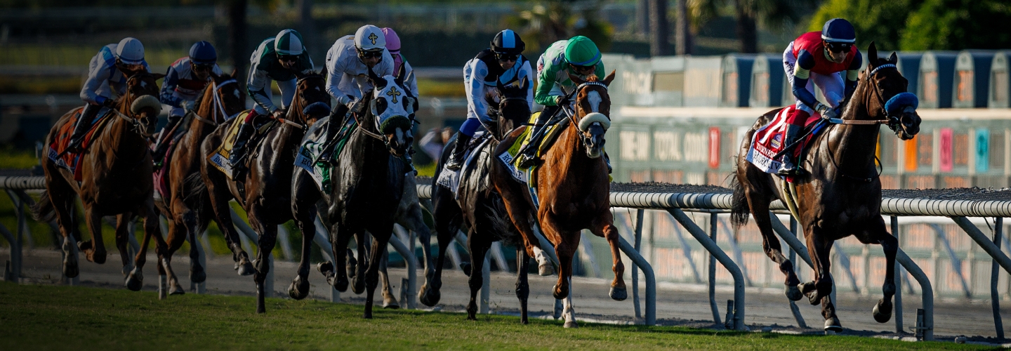 Breeders' Cup Releases 2024 Challenge Series Schedule BloodHorse🍽