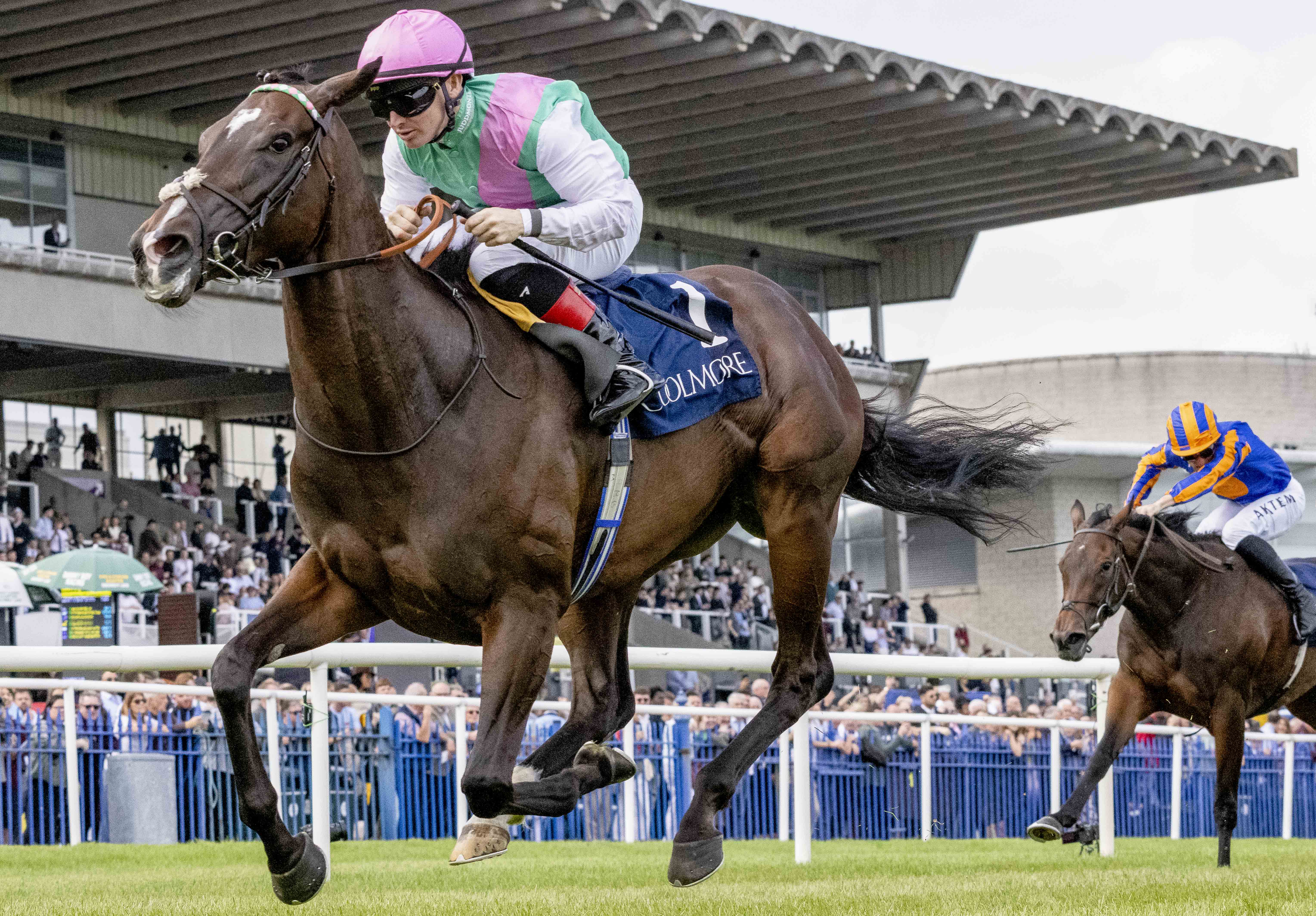 Impressive Winners Join Breeders' Cup Trail at The Curragh