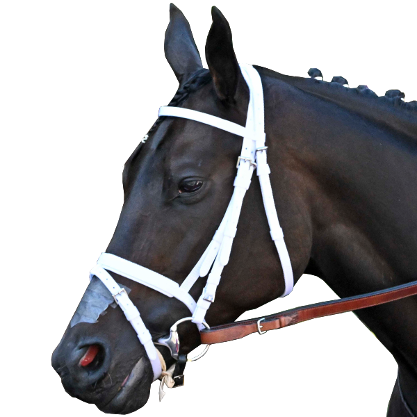 Breeders' Cup World Championships 2024