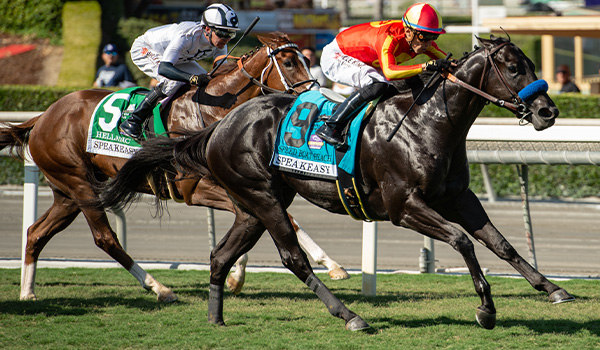 Breeders' Cup | Oct. 31 & Nov. 1 2025