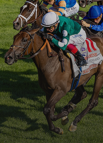Imaginationthelady Wins Jessamine, Breeders' Cup Bid