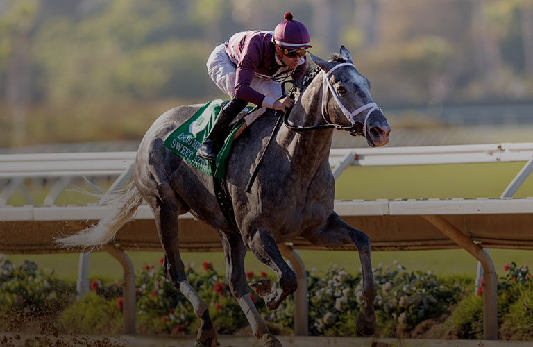 Del Mar Takes Center Stage in the Newly Unveiled Breeders' Cup 2024