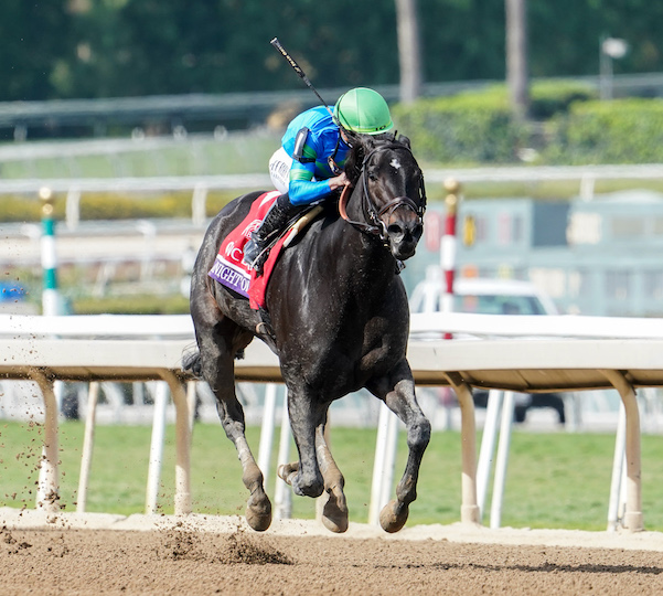 MASTER OF THE SEAS EDGES MAWJ BY A NOSE TO WIN FANDUEL BREEDERS’ CUP MILE