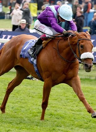 2024 BREEDERS' CUP まとめセット Breeders' Cup 2024: Turf (Full Race) | NBC Sports - YouTube