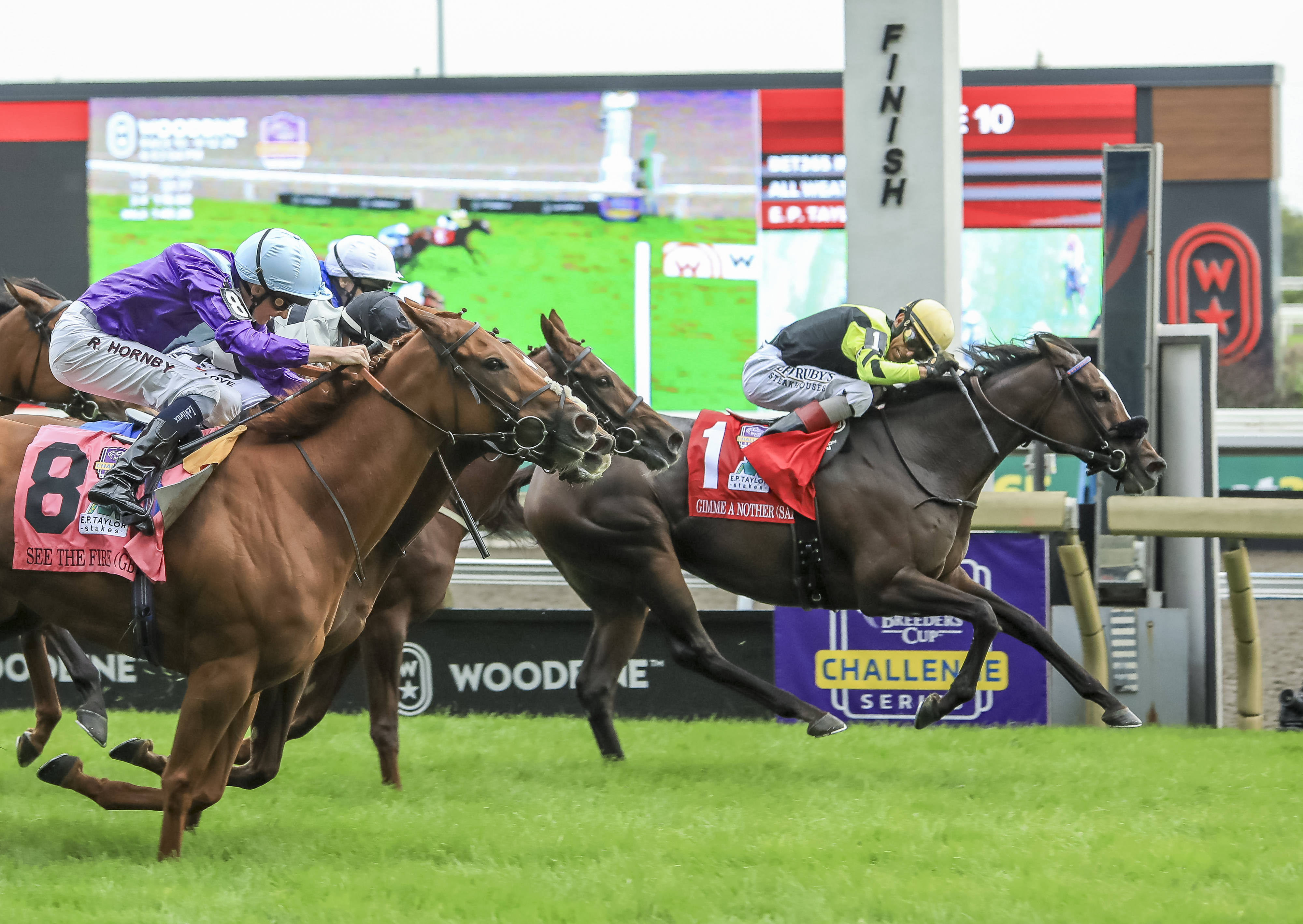 Impressive Winners Join Breeders' Cup Trail at The Curragh