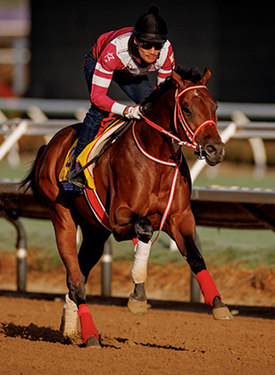 Trainer Believes Forever Young Can Shape Japan Racing