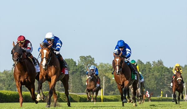 2024 BREEDERS' CUP まとめセット 2024 BREEDERS' CUP まとめセット 2024 at Del Mar