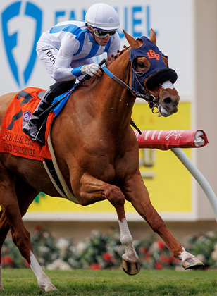 Breeders' Cup | Oct. 31 & Nov. 1 2025