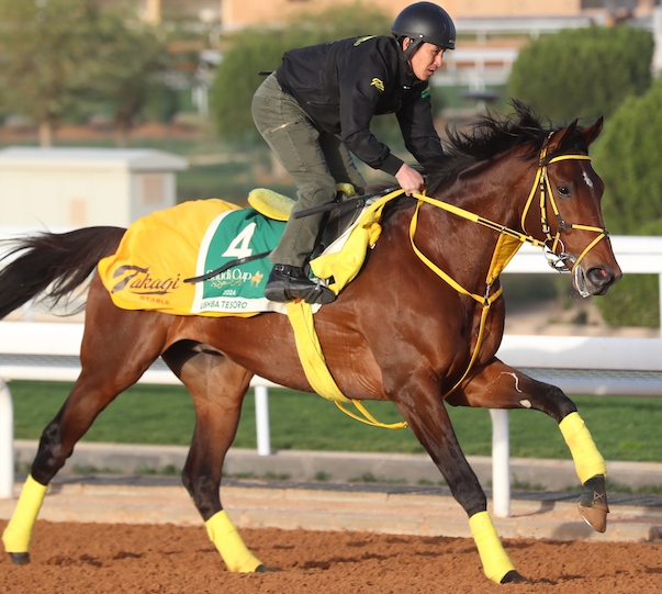 OWNER HORSE ★ユートピア UTHOPIA