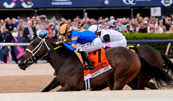 2024 BREEDERS' CUP まとめセット 2024 BREEDERS' CUP まとめセット 2024 BREEDERS´ CUP まとめセット