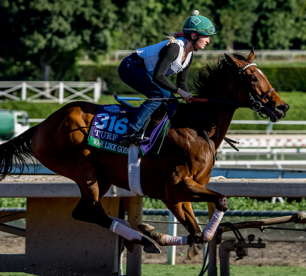 Exercise Rider Troxtell ‘Honored’ to Pilot Top Breeders’ Cup Contenders