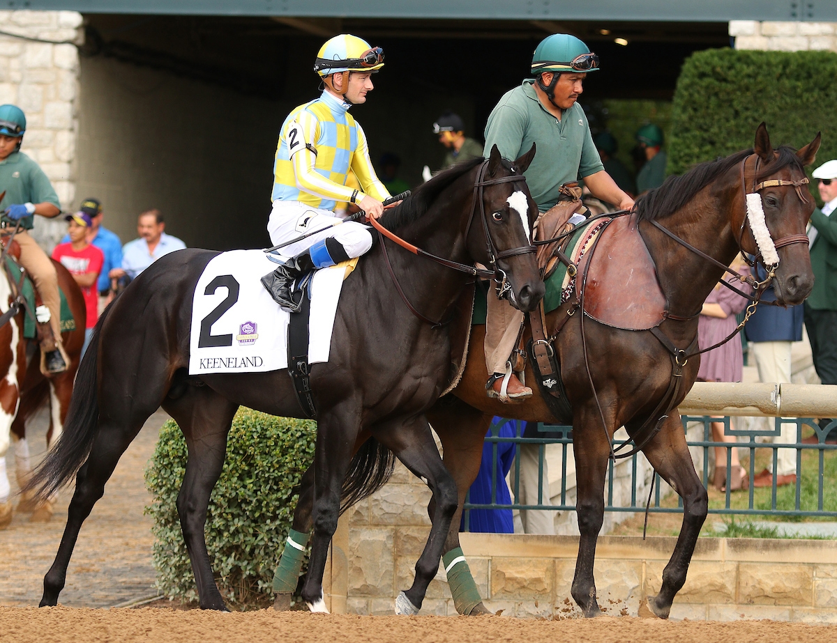 Inaugural Juvenile Turf Sprint Draws Full Field