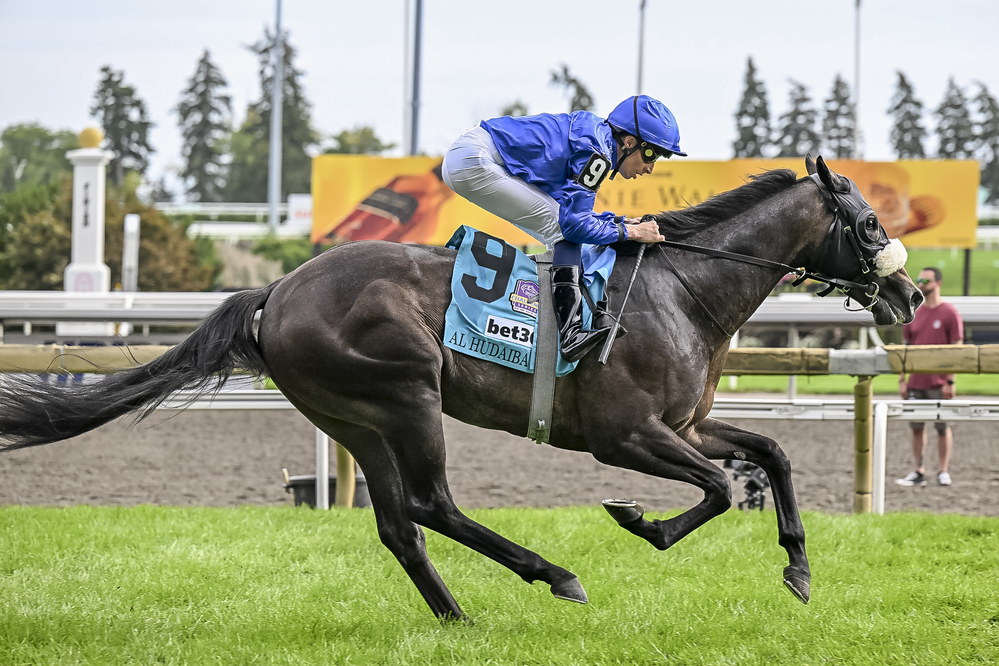 Impressive Winners Join Breeders' Cup Trail at The Curragh