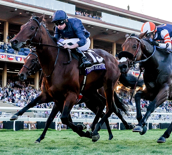 2024 BREEDERS' CUP まとめセット Breeders' Cup World Championships 2024