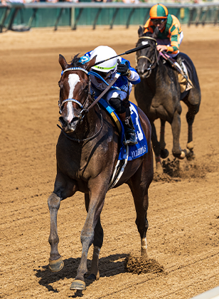 2024 BREEDERS' CUP まとめセット 2024 BREEDERS' CUP まとめセット 2024 BREEDERS' CUP: JAPANESE