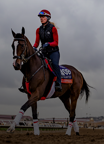 2024 Breeders' Cup Live Longshots and Value Bets for All 14 Races