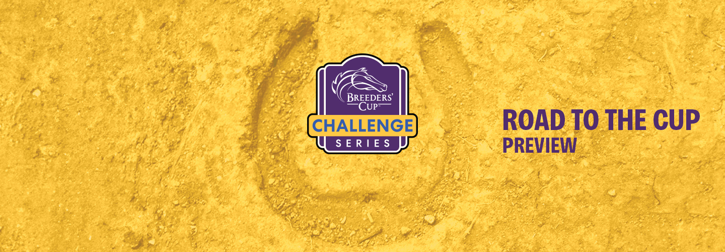 Three Countries Host Heavy Serving of Challenge Series Races