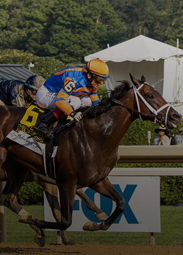 Historical Trends From Last 25 Years to Help Pick 2024 Breeders