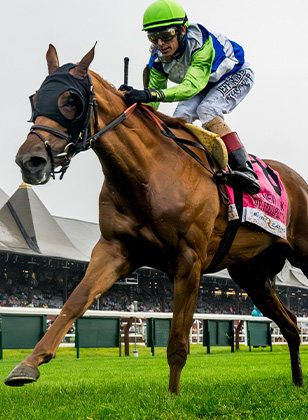 2024 BREEDERS' CUP まとめセット All The Japanese Contenders At The Breeders' Cup | Del Mar
