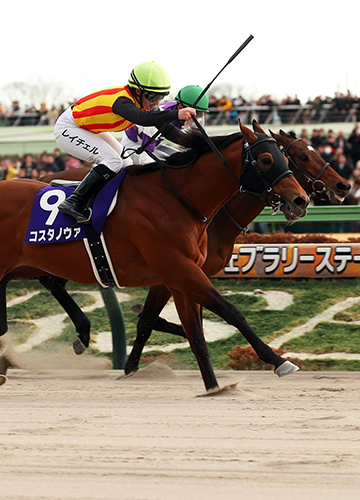 COSTA NOVA PUNCHES BREEDERS' CUP CLASSIC TICKET IN FEBRUARY STAKES