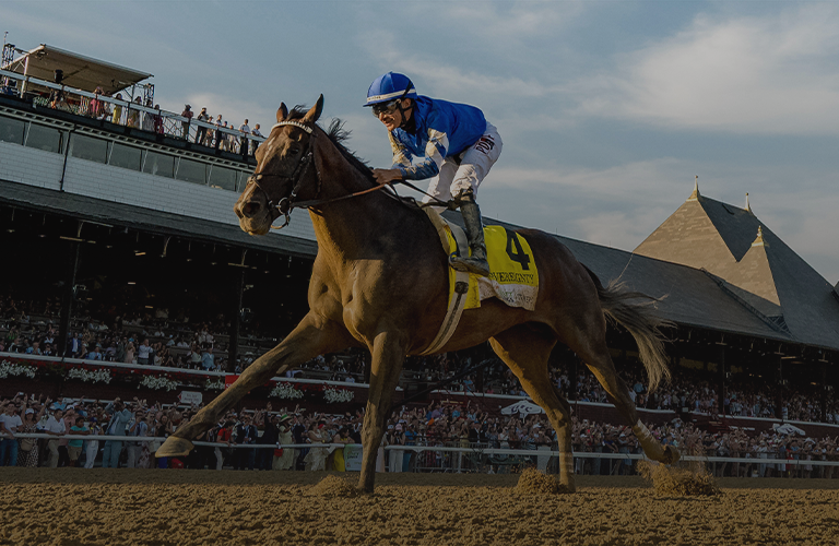 Breeders' Cup Sets New Mark for Global Reach