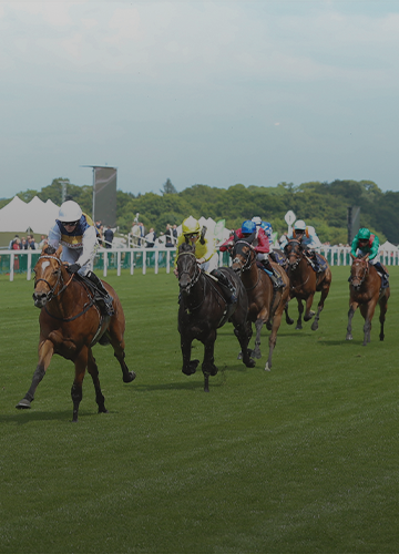 Breeders' Cup | Oct. 30-31, 2026