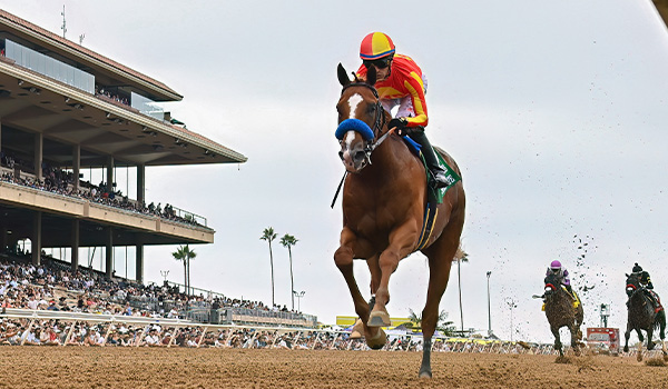 2024 BREEDERS' CUP まとめセット 2024 Cygames Breeders' Cup Sprint - Straight No Chaser - YouTube