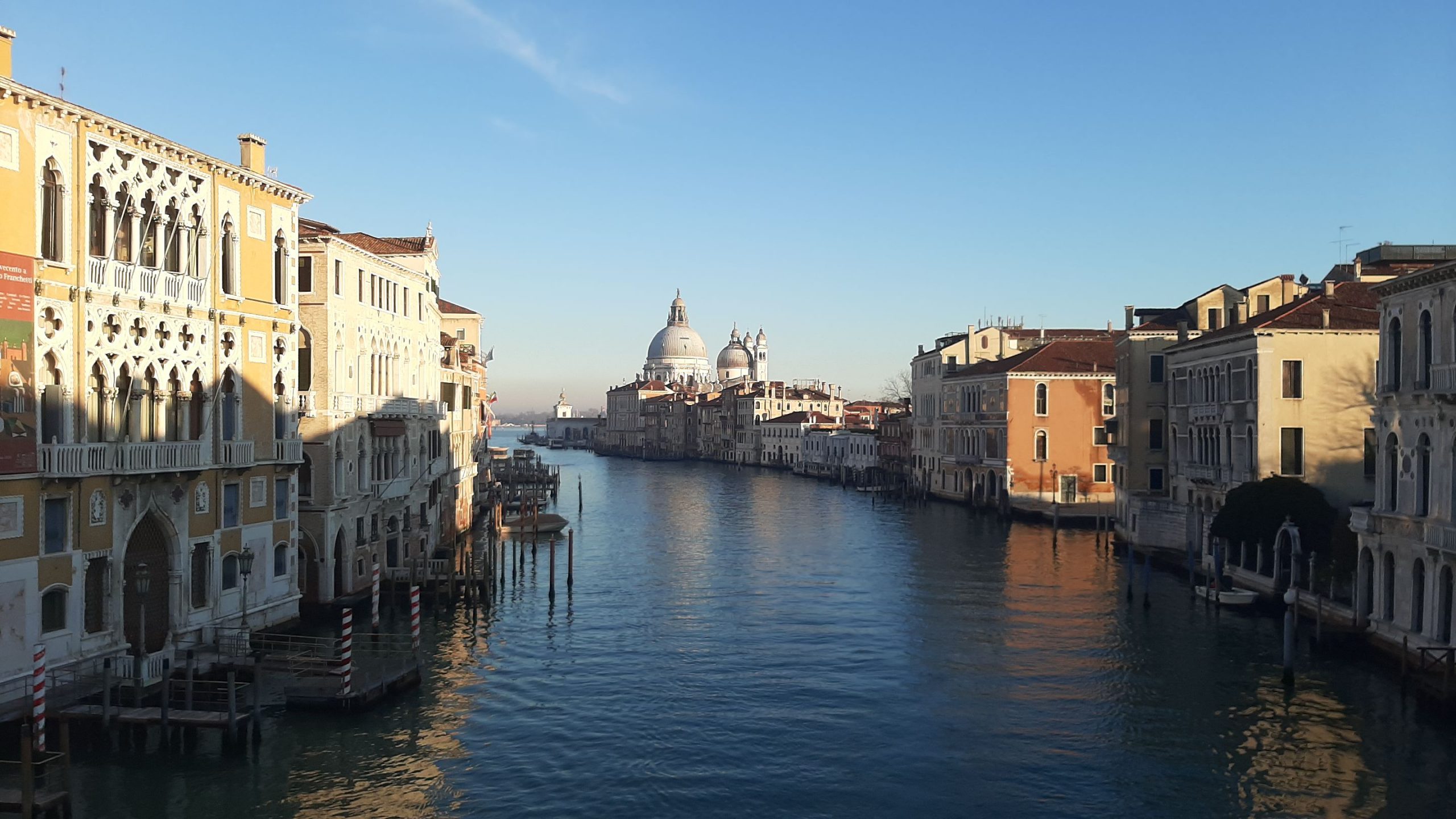 Venezia nel 2024 punterà sull'arte di Willem de Kooning | Sky Arte
