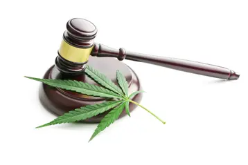 3 Steps Employers Can Take to Address Changing Marijuana Laws