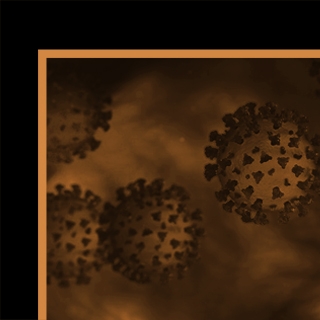 Golden-Ochre-320px.jpg
